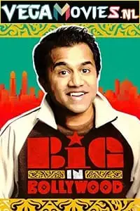 big in bollywood 2011 , vegamovies3