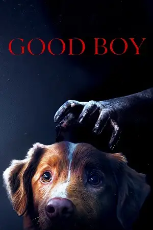 good boy 2025 , vegamovies3