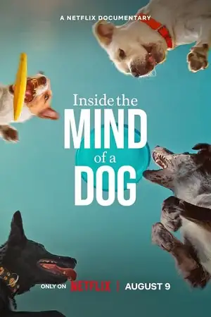 inside the mind of a dog 2024 , vegamovies3