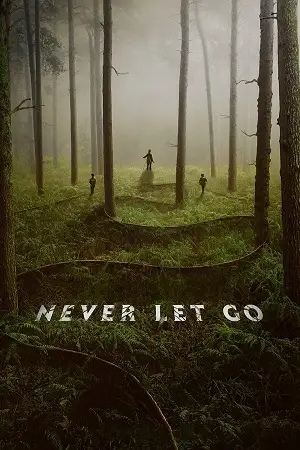 never let go 2024 , vegamovies3