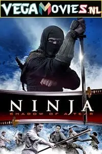 ninja shadow of a tear 2013 , vegamovies3
