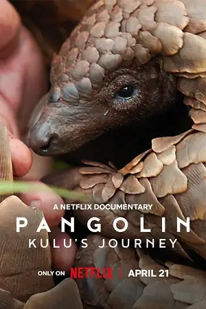 pangolin kulu s journey 2025 , vegamovies3