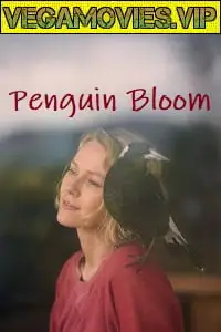 penguin bloom 2020 , vegamovies3