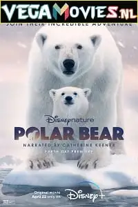 polar bear 2022 , vegamovies3