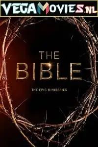 the bible 2013 , vegamovies3