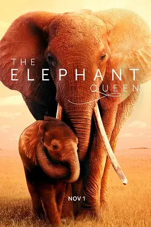 the elephant queen 2019 , vegamovies3