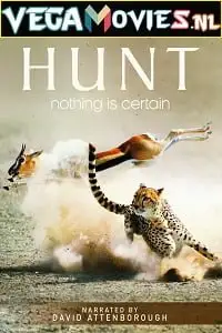 the hunt 2015 , vegamovies3
