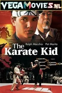 the karate kid 1984 , vegamovies3