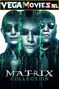 the matrix 4, vegamovies3