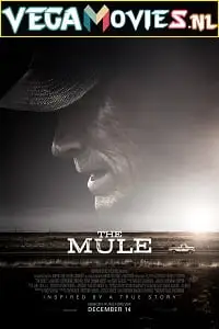the mule 2018 , vegamovies3