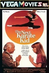 the next karate kid 1994 , vegamovies3