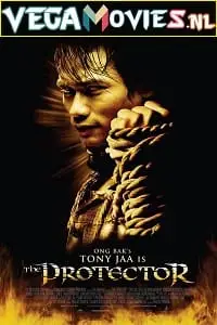 the protector 2005 , vegamovies3